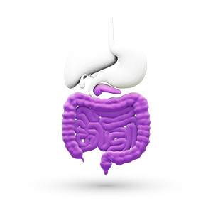 Gastroenterology Icon