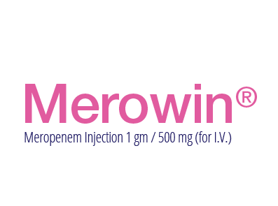 Merowin Logo